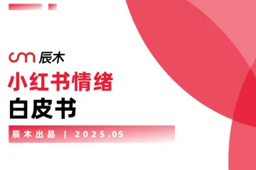 辰木：2025小红书情绪营销白皮书