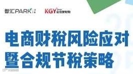 「电商财税风险应对暨合规节税策略」研讨会