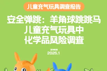 无毒先锋2025儿童充气玩具调查报告跳跳马羊角球19页