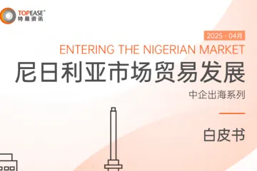 特易资讯2025尼日利亚市场贸易发展白皮书25页