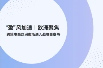 派安盈:2025盈风加速欧洲聚焦跨境电商欧洲市场进入战略白皮书