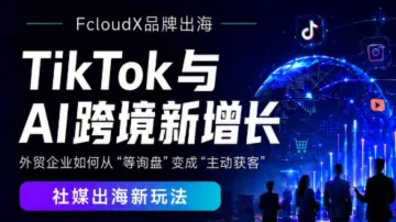 TikTok与AI跨境新增长