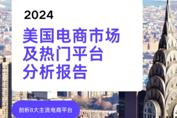 GEP-2024美国电商市场及热门平台分析报告
