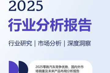 2025零跑汽车竞争优势、国内外市场销量及未来产品布局分析报告
