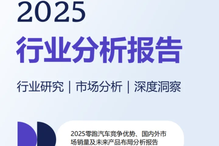 2025零跑汽车竞争优势、国内外市场销量及未来产品布局分析报告