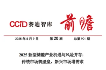 赛迪前瞻：2025新型储能产业机遇与风险并存传统市场筑壁垒新兴市场增需求报告
