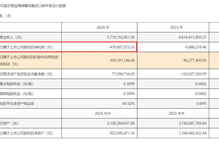 年亏损4.79亿元！深圳大卖债务压顶 | 行业爆料