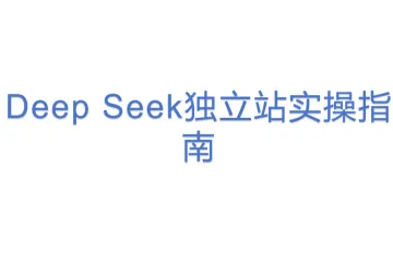 Deep Seek独立站实操指南