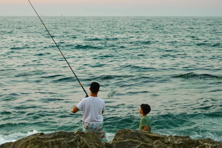 AI人工智能培训的主要类型与选择参考2026年