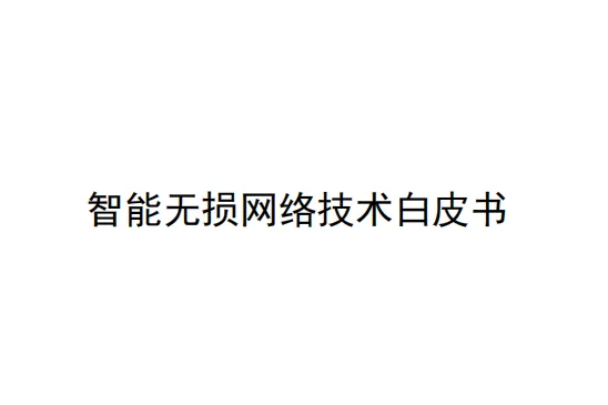 2025智能无损网络技术白皮书(25页)