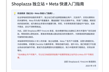 店匠2025独立站Meta快速入门指南