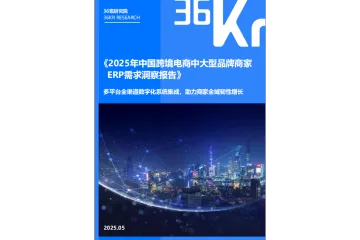 2025中国大型品牌商家ERP需求报告