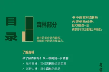 2024年森林友好露营手册.绿色和平.2024-06-26