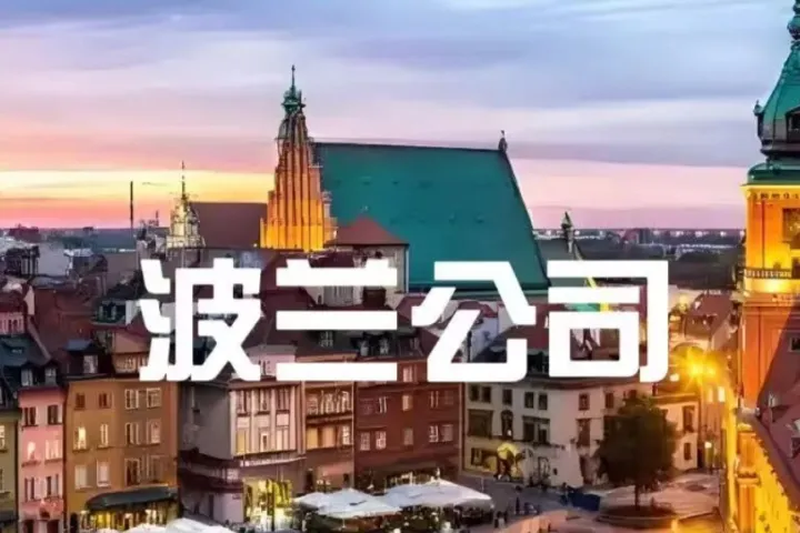 波兰公司3大核心编号（KRS/REGON/NIP）实用指南!