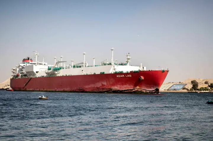 海运系统助力专线企业化解海运运费痛点