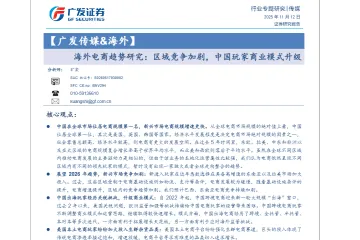 《海外电商竞争与模式升级》