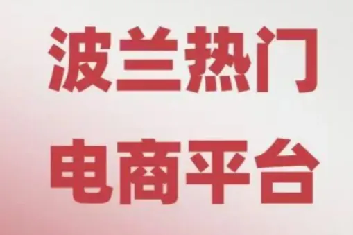 波蘭Allegro官方倉旺季入庫難？這份從發(fā)貨到上架的避坑指南請收好！