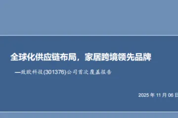 2025全球化供应链布局家居跨境品牌报告