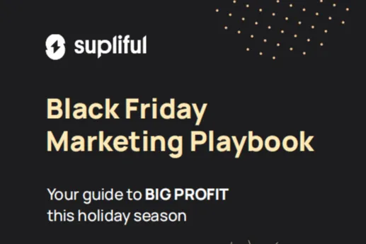 Supliful：2024黑五营销Playbook假日季<em>盈利</em>倍增指南英文版