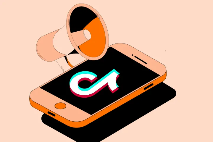 TikTok自定义受众与相似受众的应用