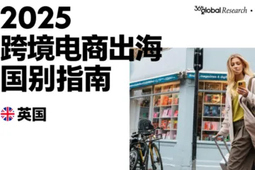 2025年跨境电商出海国别指南英国