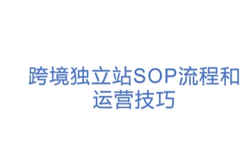 跨境独立站SOP流程和运营技巧