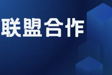 如何利用联盟合作伙伴关系