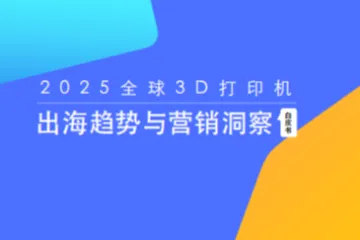 Vinyl乙烯众筹：2025年3D打印机出海趋势与营销洞察白皮书