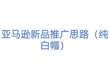 亚马逊新品推广思路（纯白帽）