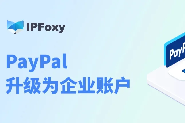 一文教你将PayPal个人账户升级为企业账户：附详细步骤与避坑指南