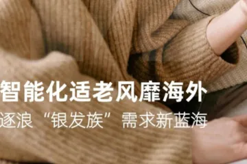 2024居家养老趋势报告智能化适老风靡海外逐浪银发族需求新蓝海.westwin