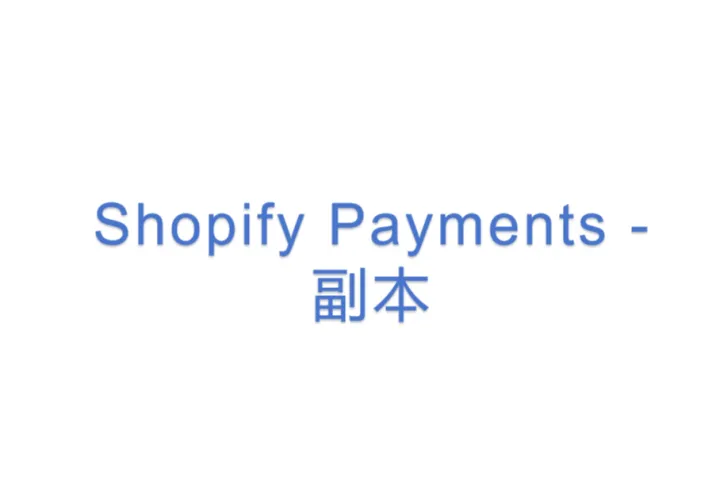 <em>Shopify</em> Payments - 副本