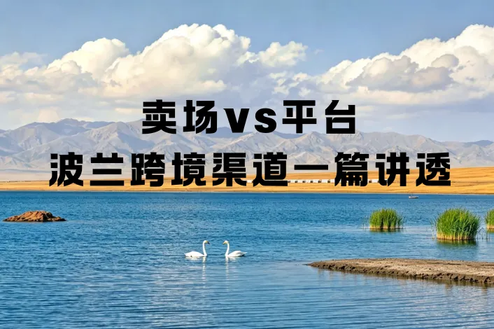 工厂做波兰，选卖场还是线上？