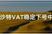 好消息！沙特VAT稳定下号中！