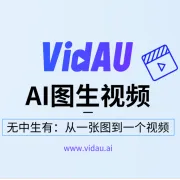 VidAU｜AI图生视频神器｜1张图→1条爆款视频