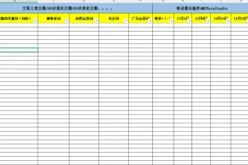 关键词运营数据汇总