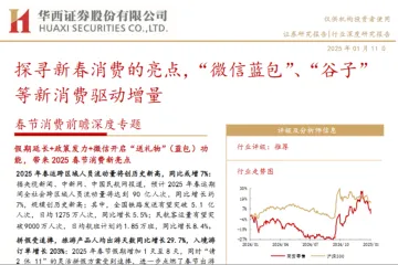 商贸零售行业春节消费前瞻深度专题探寻新春消费的亮点微信蓝包谷子等新消费驱动增量-25011149页