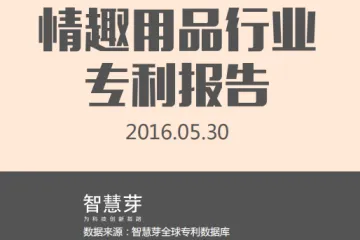 智慧芽：2016年情趣用品行业专利报告