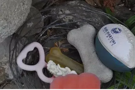 两大学生武汉建宠物公墓，一年500单