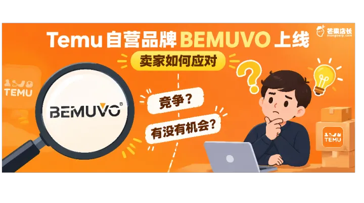 Temu亲自下场开店，中小卖家还有机会吗？