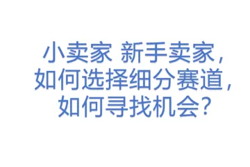 小卖家_新手卖家，如何选择细分赛道，如何寻找机会？
