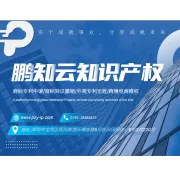 鹏知云知识产权丨全球知产服务