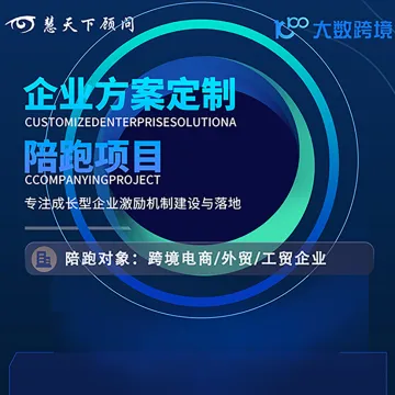 企业方案定制陪跑项目