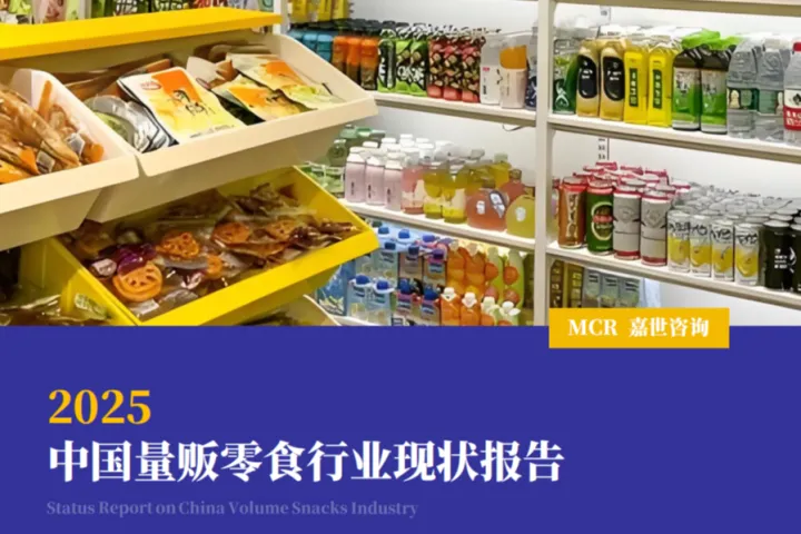 上海嘉世营销咨询：2025中国量贩零食行业现状报告