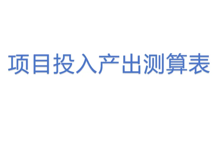 <em>项目</em>投入产出测算表