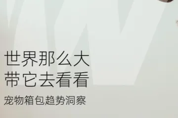 西窗科技2023宠物箱包出海趋势洞察报告6页