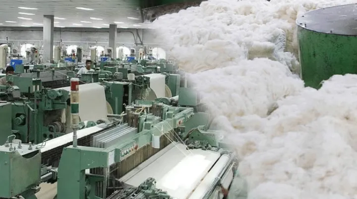 印度棉花进口关税暂免，力破行业困局 | 跨境焦点