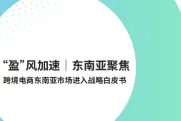 派安盈：2025跨境电商东南亚市场进入战略白皮书