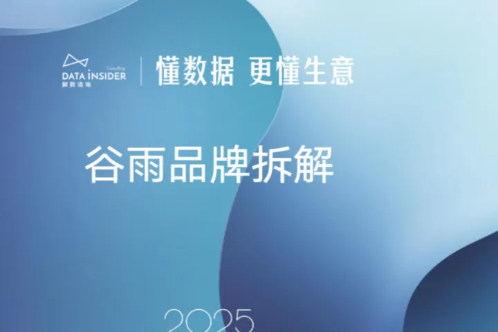 解数咨询2025谷雨品牌拆解报告简版19页