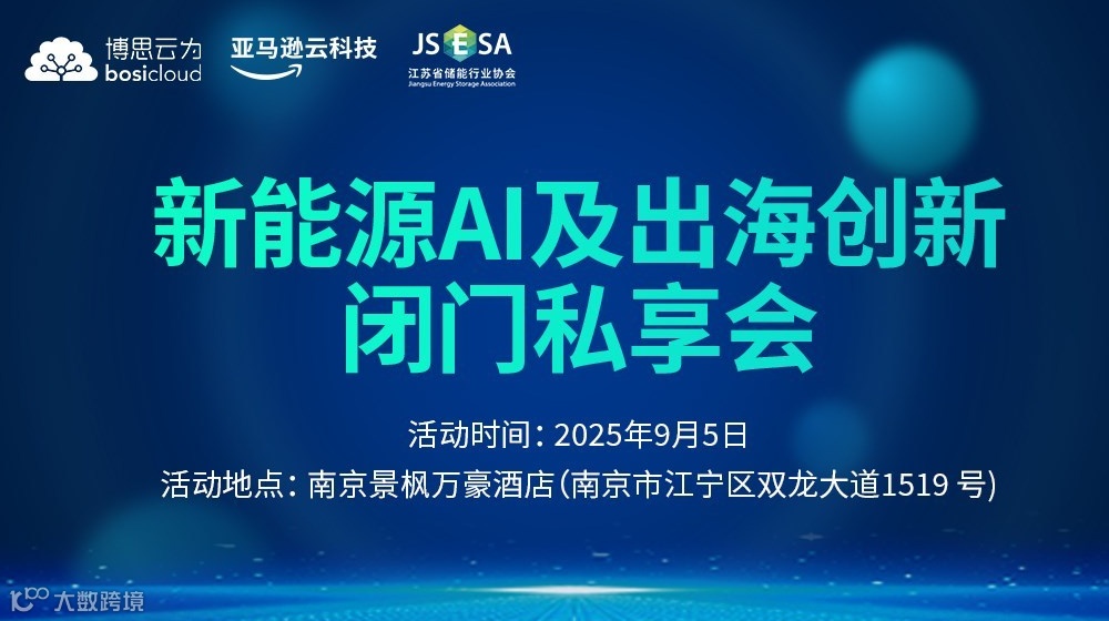 新能源 AI 及出海创新沙龙私享会